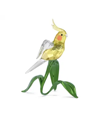 Idyllia Calopsitta Swarovski