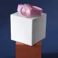 Orologio Vivace Rosa 34mm Donna Morellato