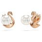 ORECCHINI A LOBO CIGNO NERO DONNA SWAROVSKI SWAN
