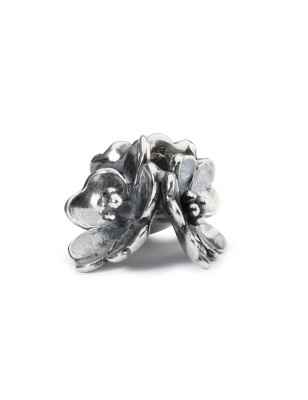 BEAD FIOR DI MELO DONNA TROLLBEADS  - category_name - XDMG De Marchi Gianotti