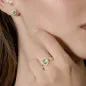 Orecchini Royal Lady Mini Dorati con Zircone Verde Acqua Donna Amen Orecchini Royal Lady Mini Dorati con Zircone Verde Acqua Donna Amen
