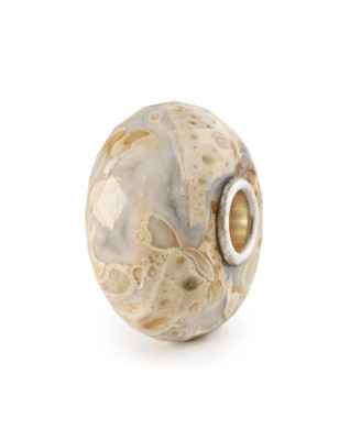 Bead LEGNO FOSSILE Trollbeads