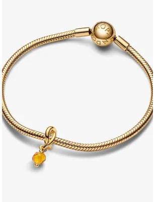Charm Pendente Cerchio Eterno Miele Novembre Donna Pandora