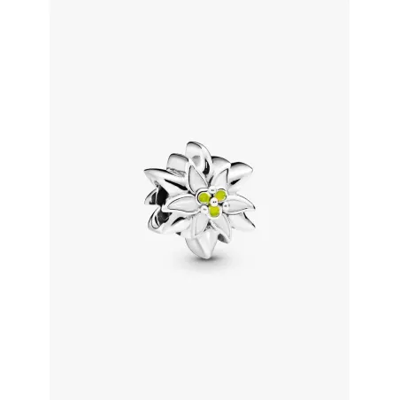 Charm Stella Alpina Donna Pandora - category_name - XDMG De Marchi Gianotti