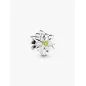Charm Stella Alpina Donna Pandora Charm Stella Alpina Donna Pandora