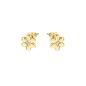 Orecchini dorati Fiore Petite Sparkle Donna Nomination Orecchini dorati Fiore Petite Sparkle Donna Nomination