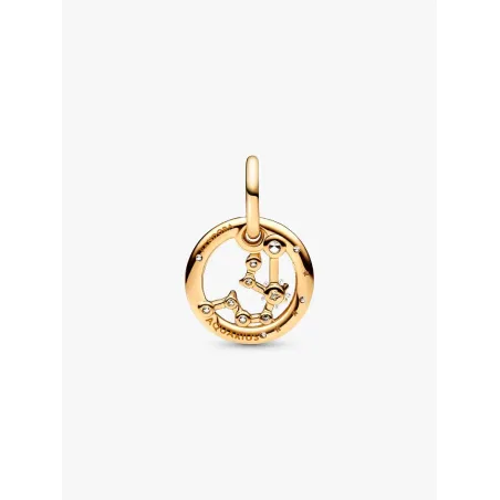Charm Pendente Segno Zodiacale Acquario Donna Pandora