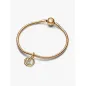Charm Pendente Segno Zodiacale Acquario Donna Pandora Charm Pendente Segno Zodiacale Acquario Donna Pandora