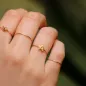 Anello Filodamore con Iniziale S AN255GG Donna Rubinia Anello Filodamore con Iniziale S AN255GG Donna Rubinia