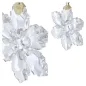 Annual Edition Set Decorazioni 2026 Bianco Swarovski Annual Edition Set Decorazioni 2026 Bianco Swarovski