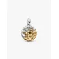 Charm Medallion Toro Pandora Charm Medallion Toro Pandora
