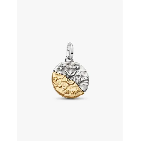 Charm Medallion Toro Pandora