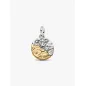 Charm Medallion Toro Pandora Charm Medallion Toro Pandora