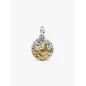 Charm Medallion Leone Pandora Charm Medallion Leone Pandora