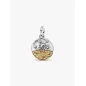 Charm Medallion Leone Pandora Charm Medallion Leone Pandora